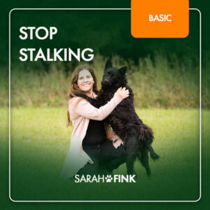 Stop Stalking