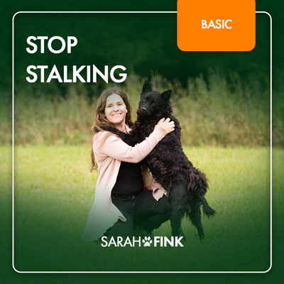 Stop Stalking