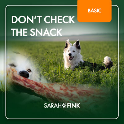 Don't Check The Snack