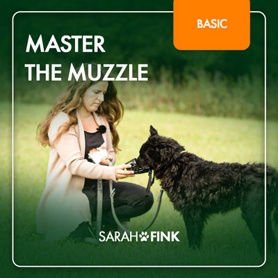 Master The Muzzle