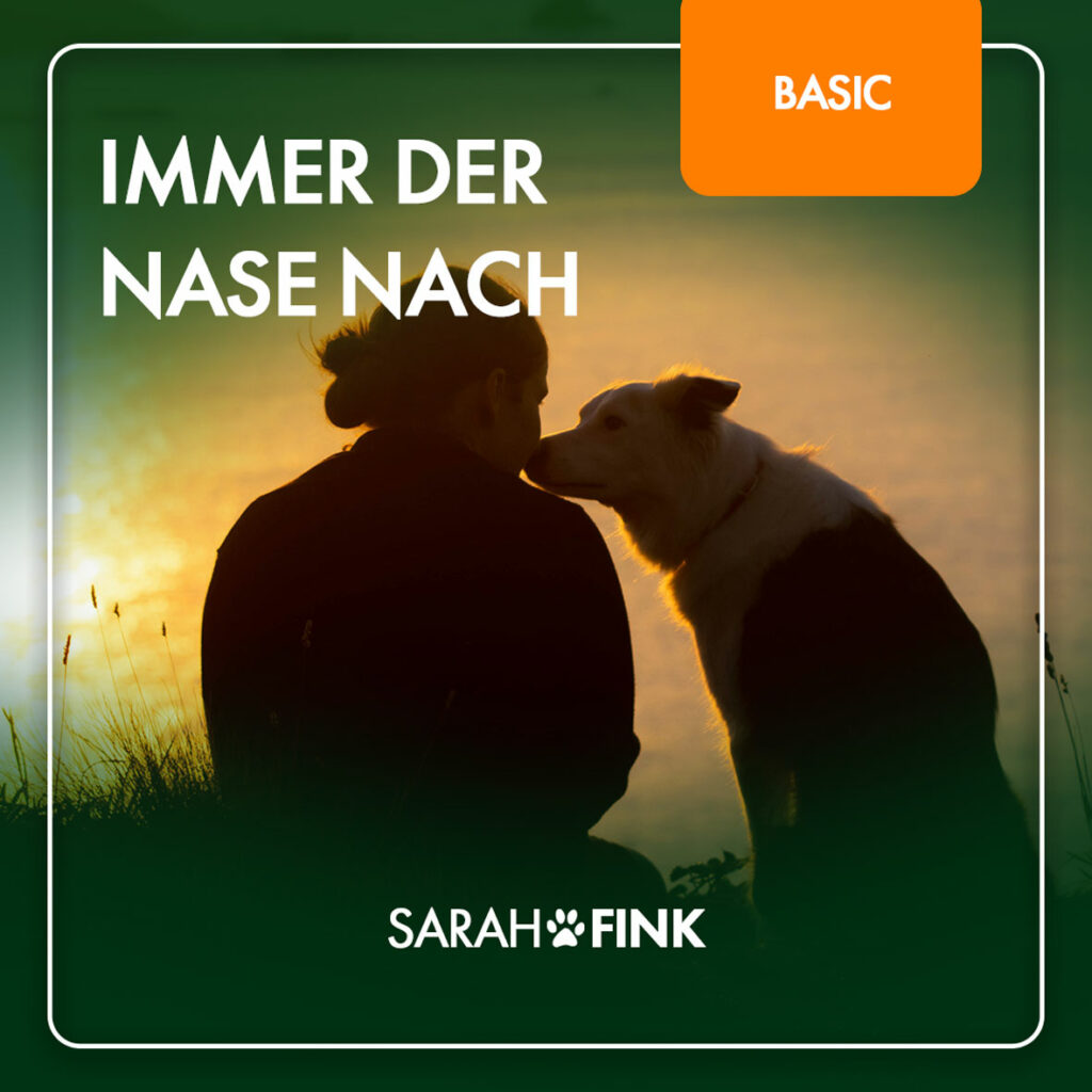 Immer der Nase nach